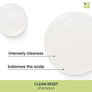 Biolage Normalizing CleanReset Shampoo