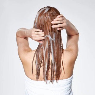 MK Color Maintainer Shampoo Sulfate Free