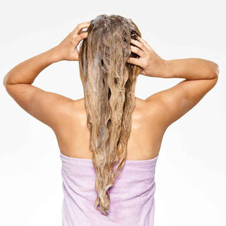 MK Daily Frequent Shampoo
