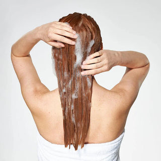 Moisture Plus Shampoo