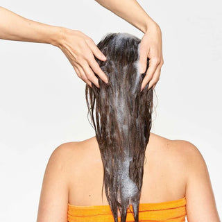 Normalizing Blend Shampoo