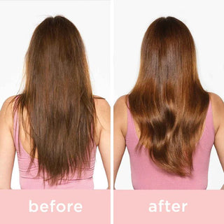 Purifying Blend Shampoo